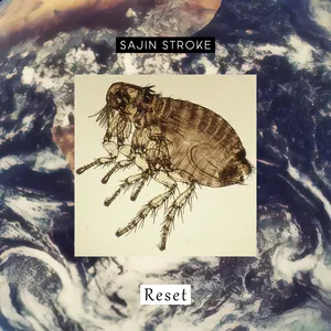 Sajin Stroke - Reset